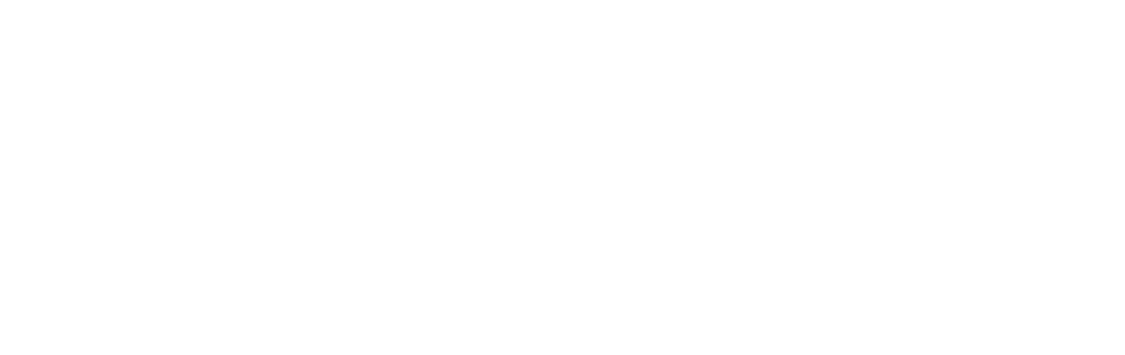 Elementum_Logo_White_1318x416
